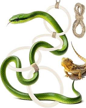 DBNESS Snake Climbing Rings, Ball Python Enclosure Enrichment Ring, Adjustable Playground Terrarium Decor Accessories for Corn Snakes, Garter Snakes, Iguana, Lizards, Chameleons, ParrotWhite
