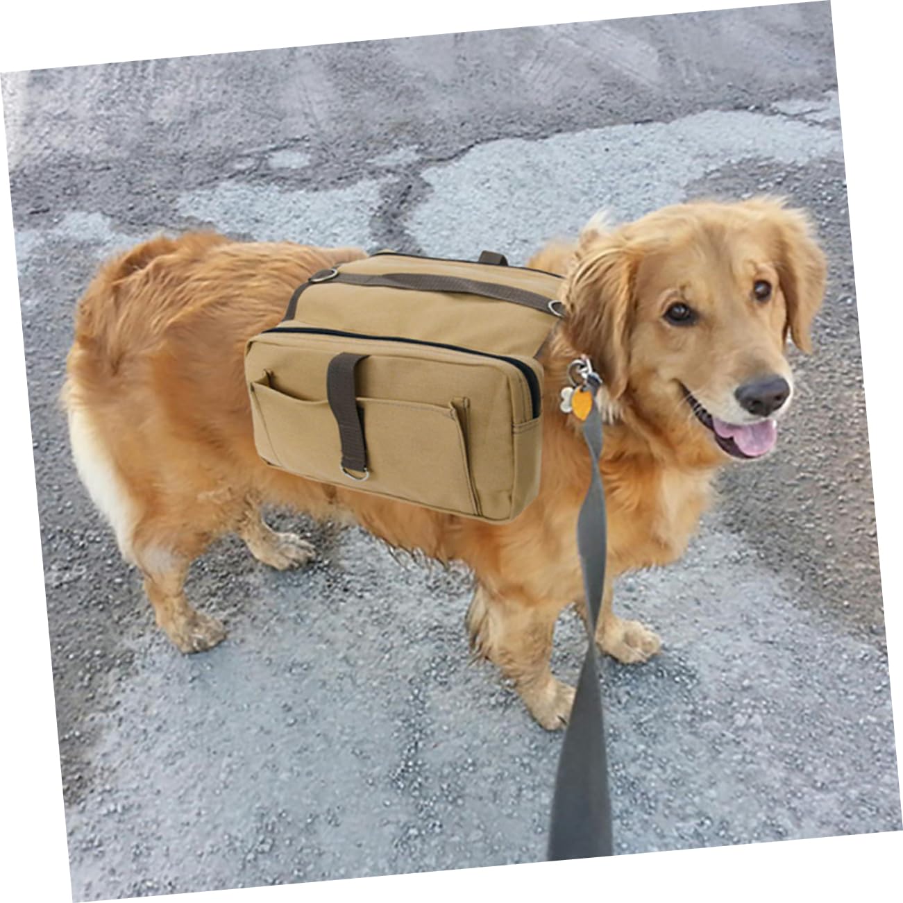 FOMIYES Zaino Esterno per Cani di Cotone, Borsa da Trekking per Cane Tasche Laterali e Cintura Stabile, per Escursioni e Campeggio
