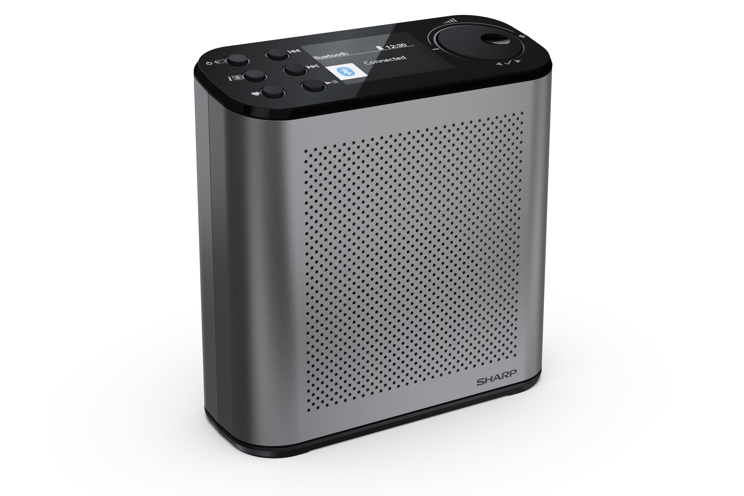SHARP DR-P530 OSAKA Radio digitale portatile, Grigio tempesta | Radio DAB+/FM, Bluetooth 5.3, BestTune™, display a colori 2,4", batteria Li-Ion e USB-C
