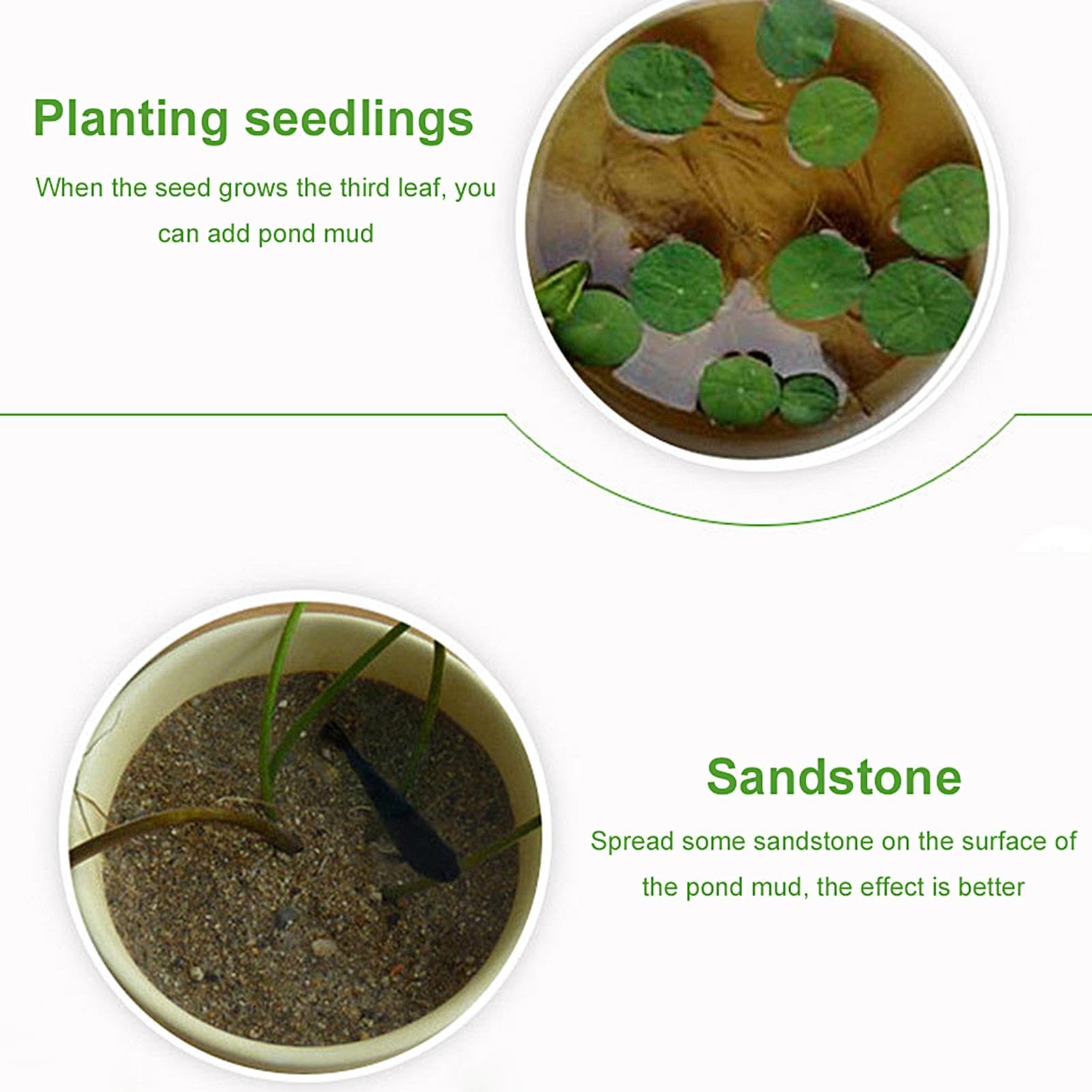 Terreno Argilloso Per Piante Acquatiche - Substrato Nutriente Per Loto E Ninfea In Vaso