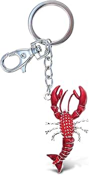 アクセサリー PRY PLATE Key Charm Amazon.com: APPERFiT Keychain Compatible with Nissan 370Z