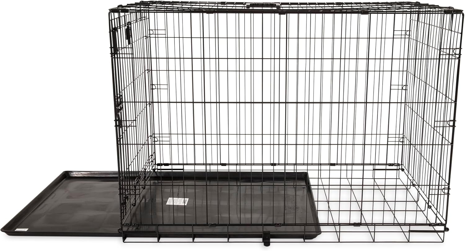 Ultimate Security for Your Pup: Review of the Precision Pet Provalue Wire Crate