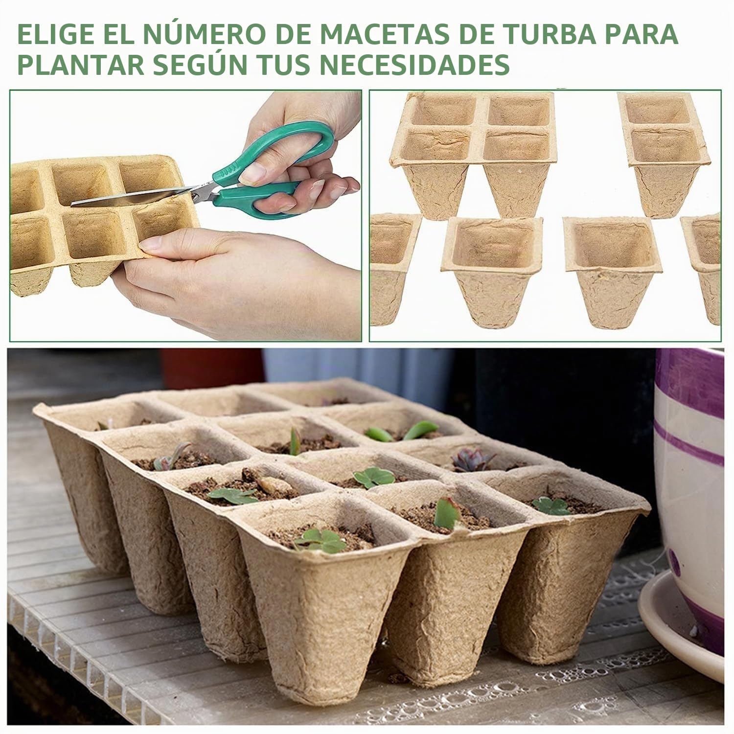 Bandejas de Germinación de Semillas, 10 Piezas Semilleros de Germinacion, Semilleros Biodegradables, Macetas de Semillas, Bandeja de Cultivo con Etiquetas Plantas y Herramientas de Plantación