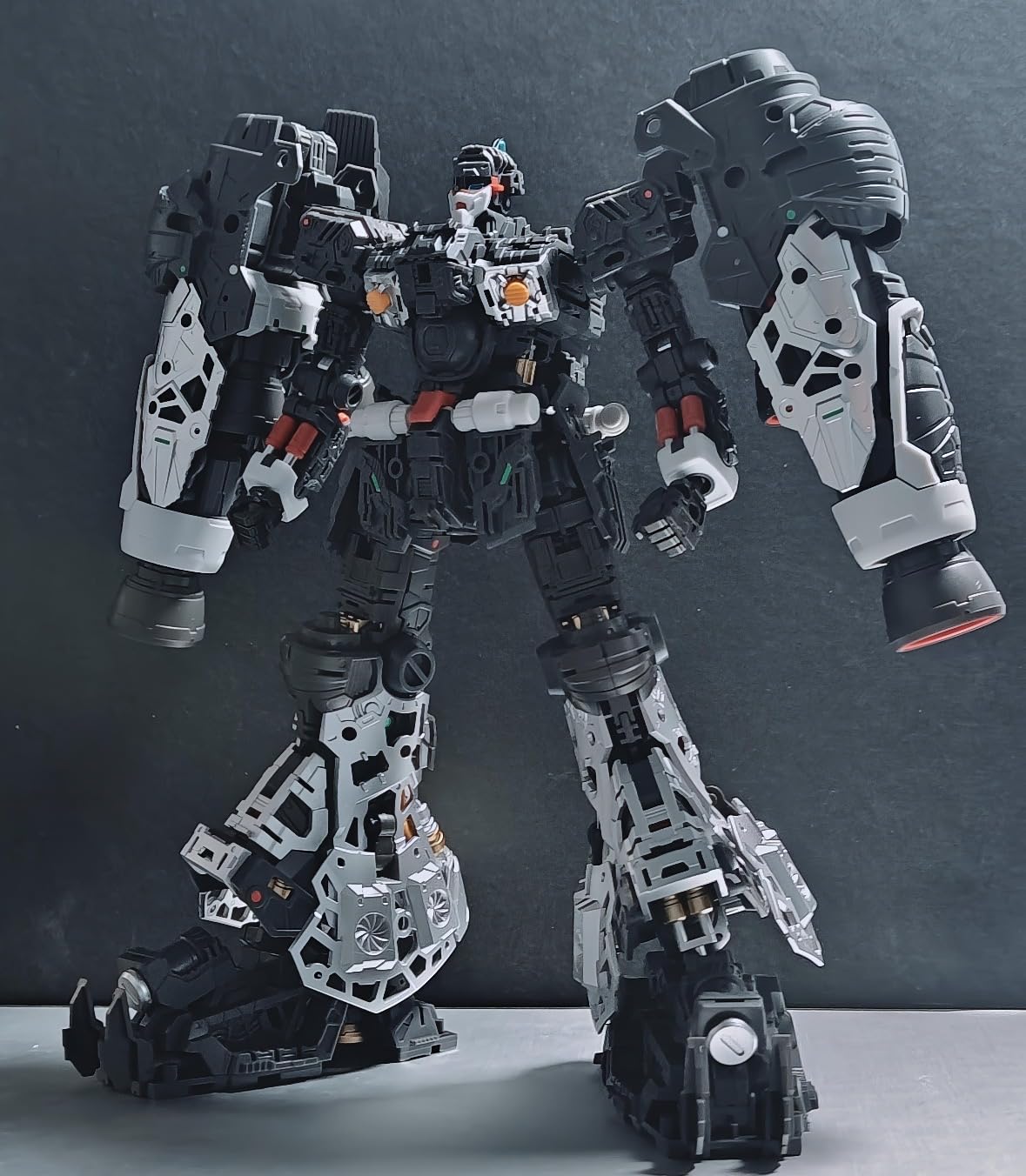 ソロモン社　1/00サイサリス　完成品【素人作品】 Amazon | SOLOMON ソロモン社 1/100 サイサリス PHYSALIS 試作2号機