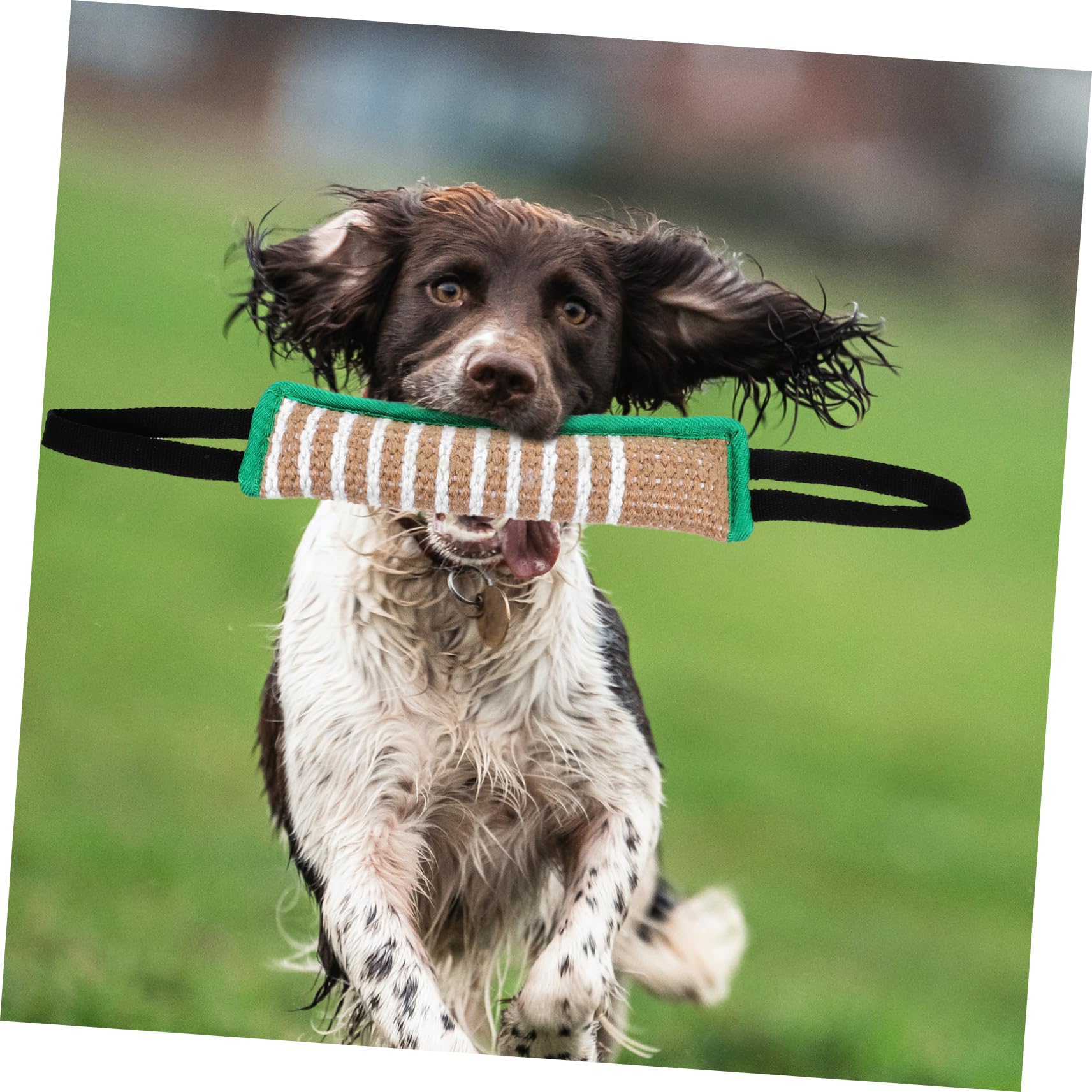 BESPORTBLE 4piezas Almohada De Morder para Perros Juguete Interactivo De Jute Resistente para Entrenamiento De Fuerza De Mordida y Habilidades De Masticación para Cachorros y Perros