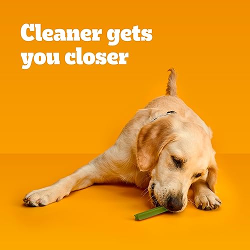 Miniatura 6 de Pedigree Dentastix Fresh Treats for Large Dogs 30 pounds