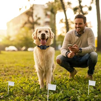 iMounTEK Electric Dog Fence System with 2 Collars Covers up to 1.2 Acres