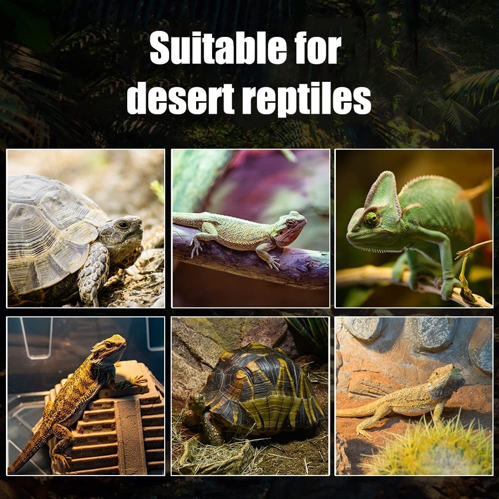 DONGKER - Bombilla UVB 10.0 para reptiles, lámpara calefactora tortuga, luz UVB del desierto LED de 5 W para reptiles que viven en el desierto