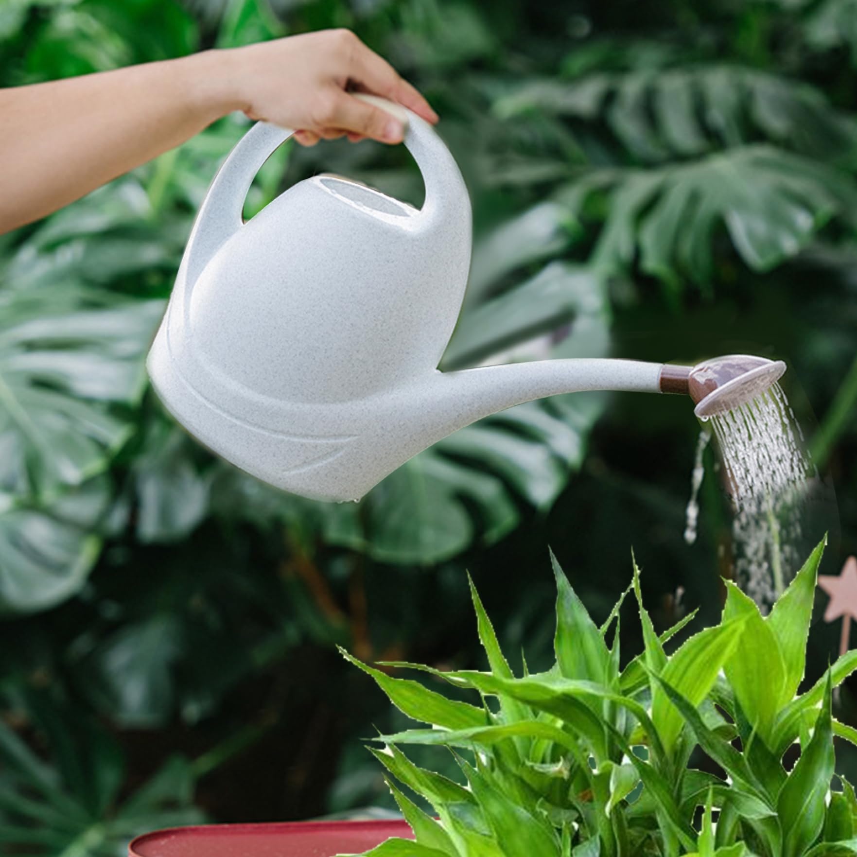 Arrosoir extérieur Arrosoir extérieur, arrosoir intérieur Arrosoirs Arrosoir d'intérieur 3,5 L Arrosoir à long bec 4 modes de pulvérisation Arrosoir en plastique for plantes avec pomme de douche amovi