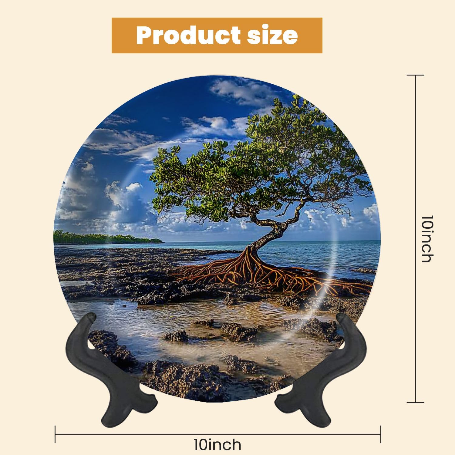 Decorative Plates for Display Mangrove Sunrise Spanish Harbor Key Gift Plates Ceramic Collections Plates Hanging Artwork for Living Dining Room Kitchen Souvenir