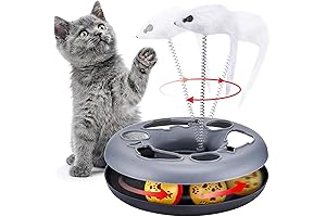 Cat Toys for Indoor Cats: Interactive Toy with Roller Tracks and Catnip