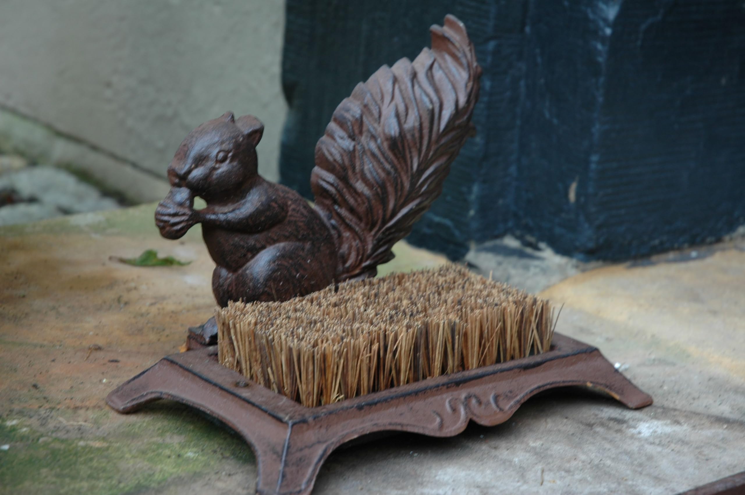 Boot Brush Squirrel