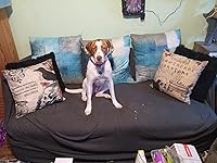 Review Image by Mrs. Bigelow Mrs. Bigelow