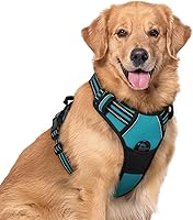 Vista 13 de rabbitgoo Arnés para perro, arnés sin tirones para mascotas con 2 clips para correa, chaleco acolchado suave ajustable para perro, chaleco Oxford