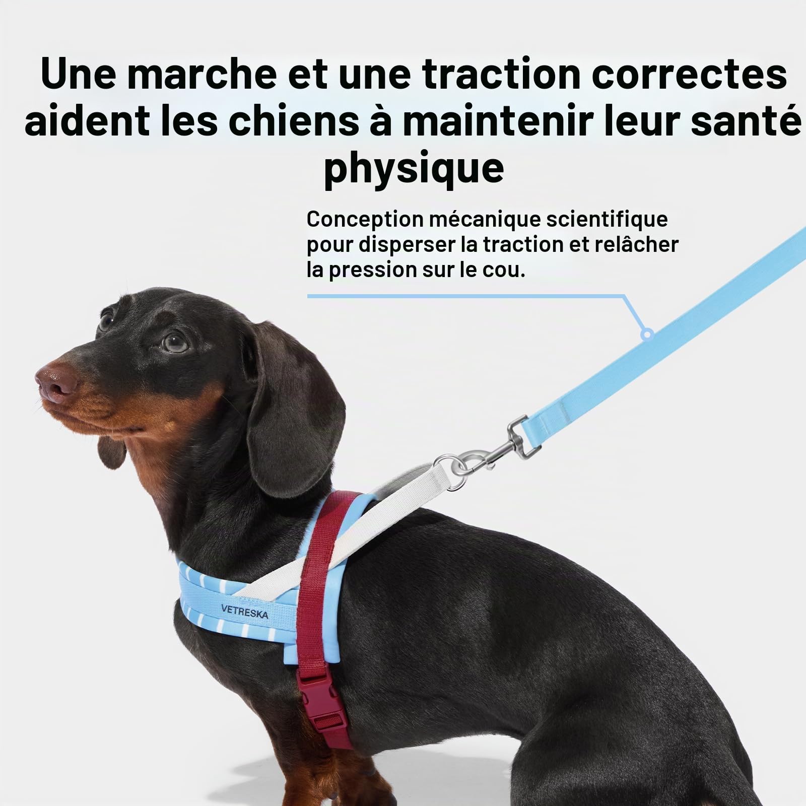 VETRESKA Harnais-Veste pour Chien Ajustable Anti-Étouffement, Harnais Contrôlable et à Marche Facile Harnais pour Chien avec Laisse Anti-Enchevêtrement Résistante, Misty Melot, XS