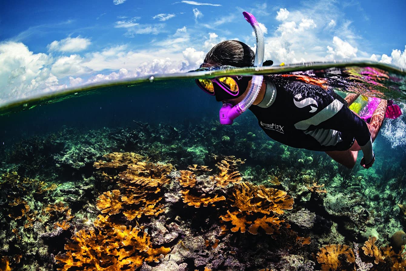 Scubapro Spectra Snorkel Black/Silver