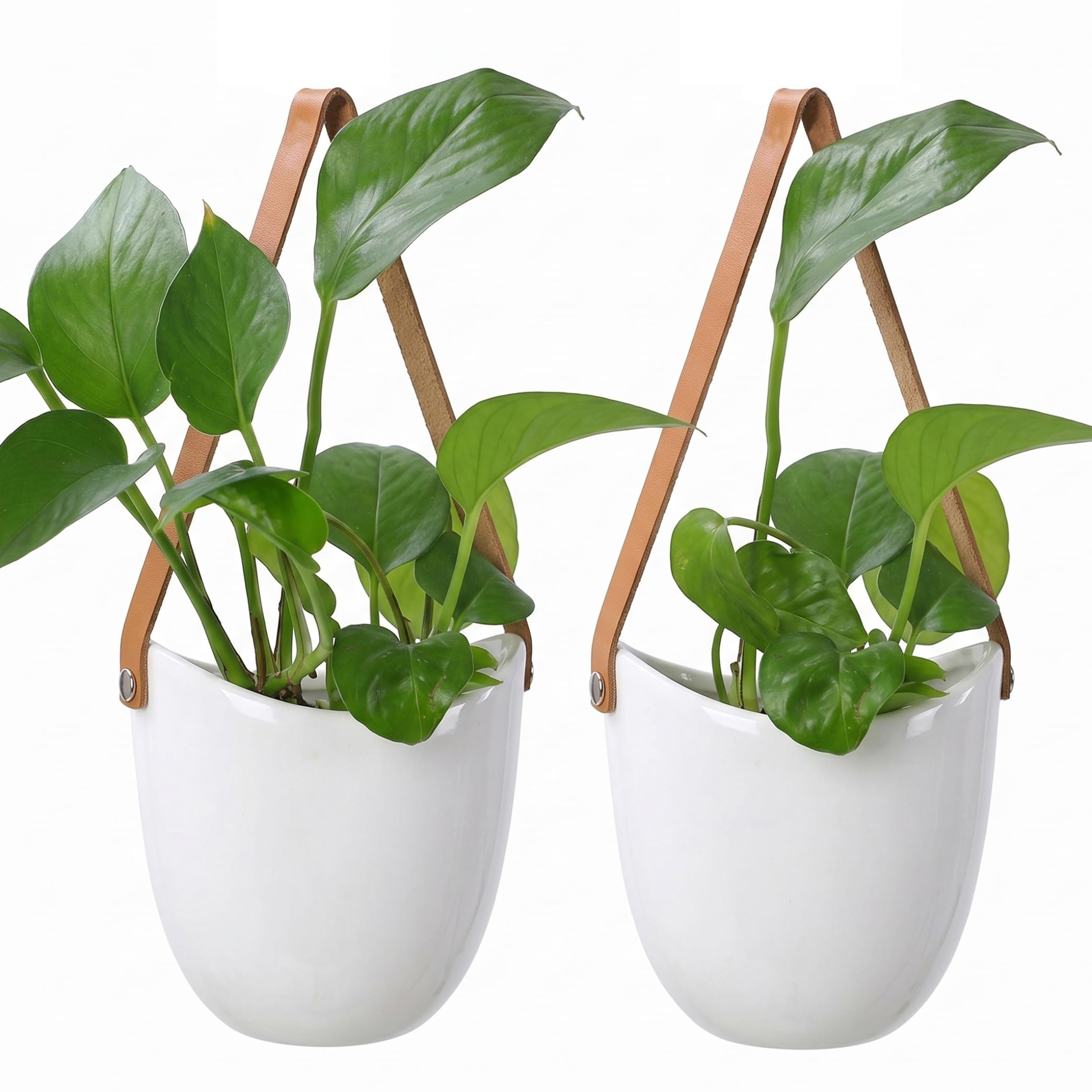 Striegro 2pcs Small Hanging Planter, Non-porous Ceramic Wall Hanging Planter For Hydroponics & Succulents, Indoor Wall Decor, White.