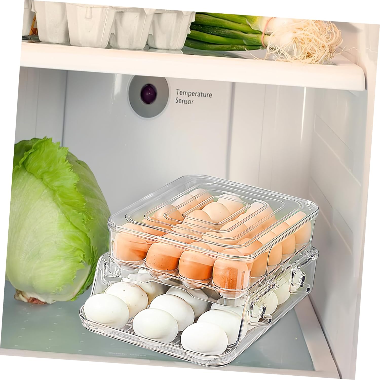 Luxshiny Double Layer PET Egg Storage Box Auto Rolling Egg Dispenser for Refrigerator with Folding Design for Kitchen Organization