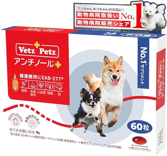 爬虫類専門動物病院