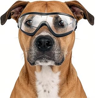 Eye Protection For Dogs Picks collage image 4