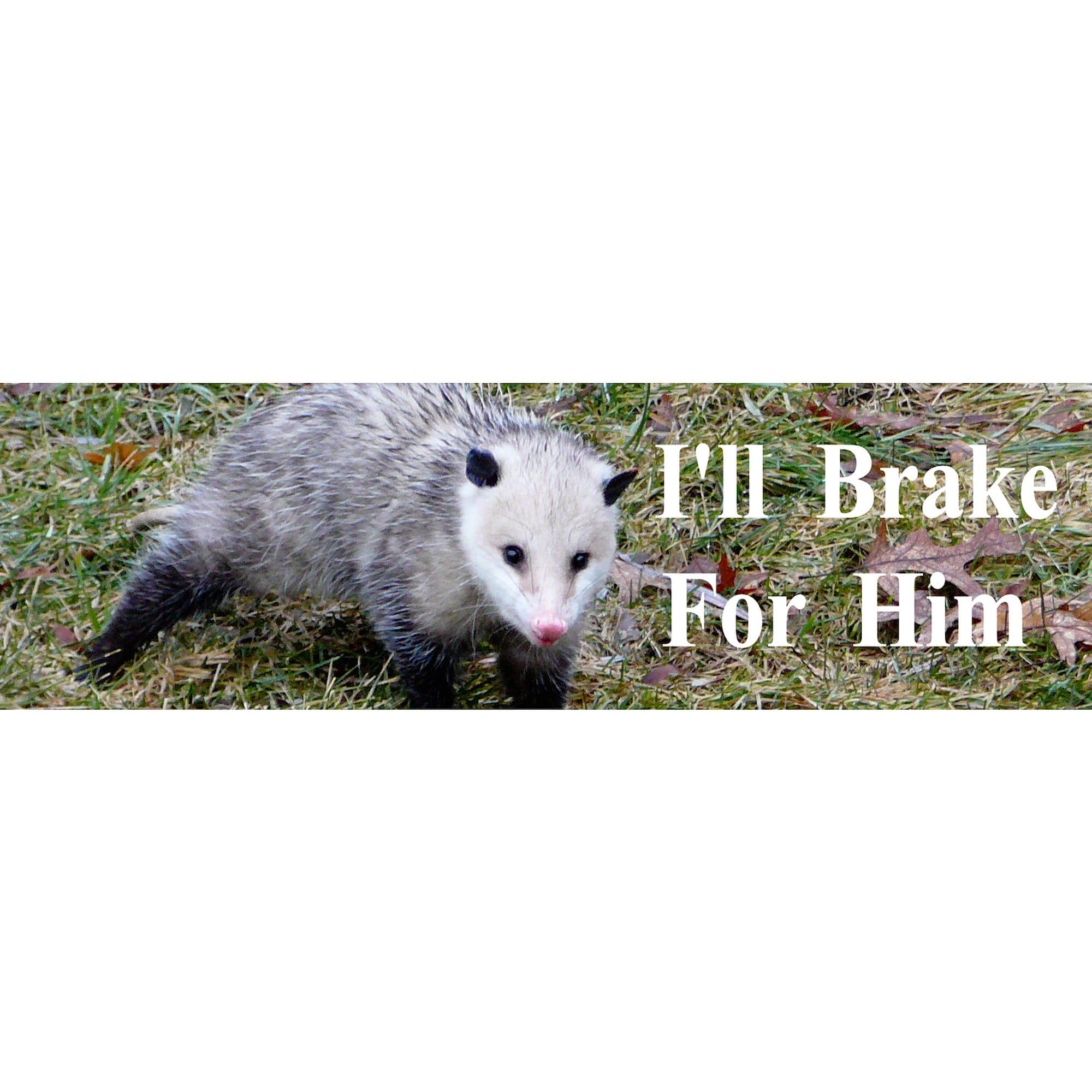 CafePress Possum Braking for Him Sticker (Bumper) 10