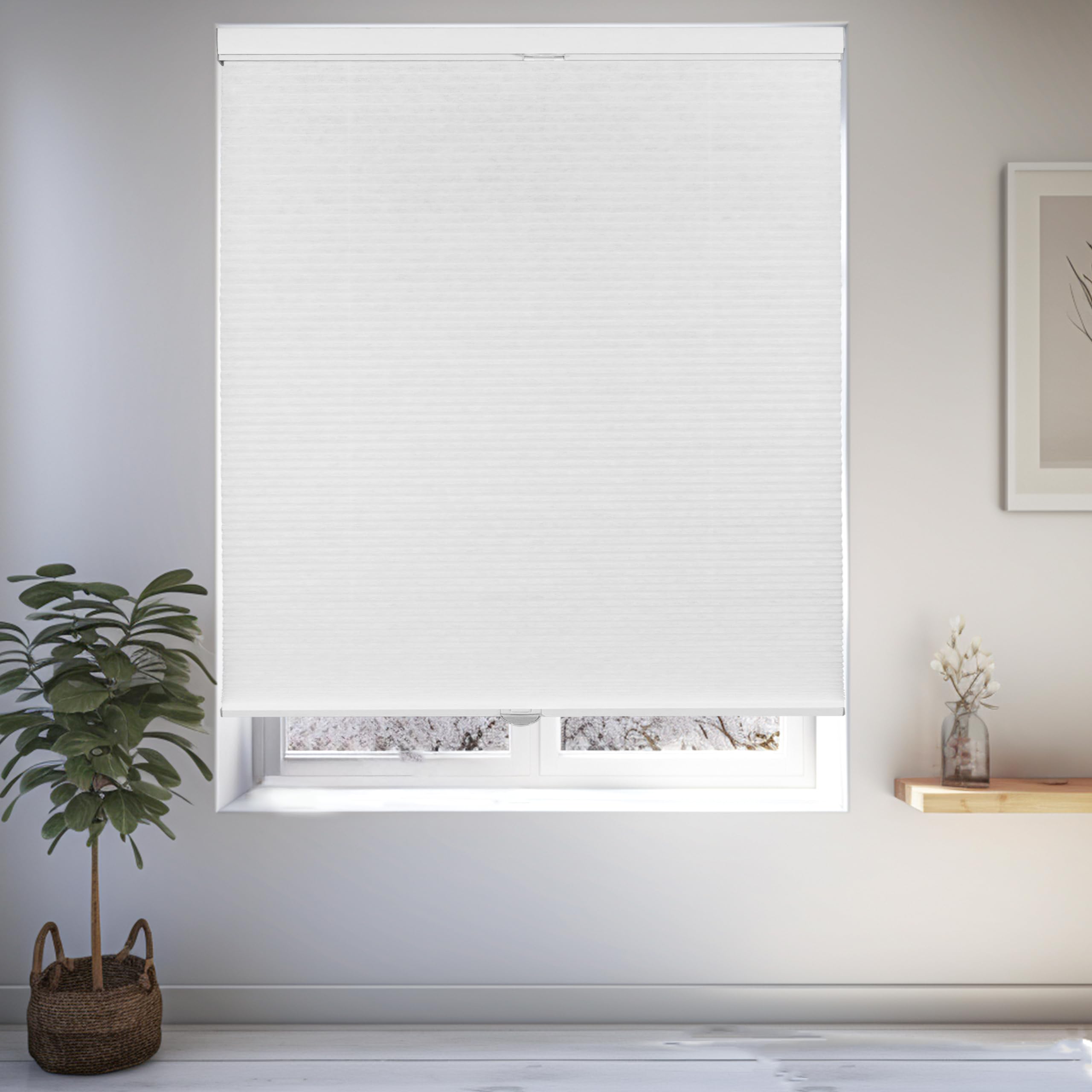 CHICOLOGY Home Décor, Window Treatments, Cellular Shades, Cellular Window Shades, Blinds, Blinds & Shades, Shades for Indoor Windows, Top Down Bottom Up Shade, White Light Filtering, 24" W X 48" H