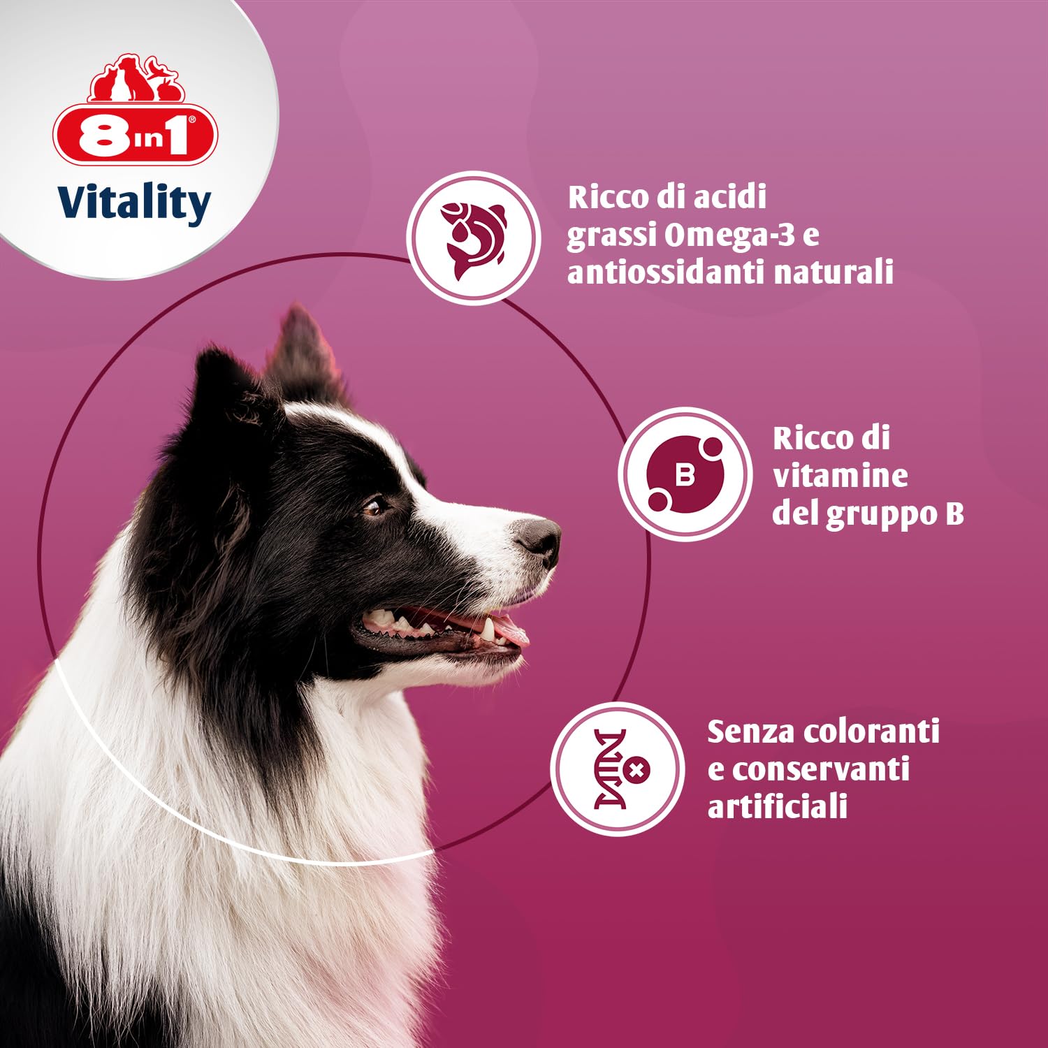 8in1 Compresse di Lievito di Birra per cani - Combinazione unica di vitamine per tutti i cani, supporta la cura della pelle e del pelo, 1 lattina (260 compresse)