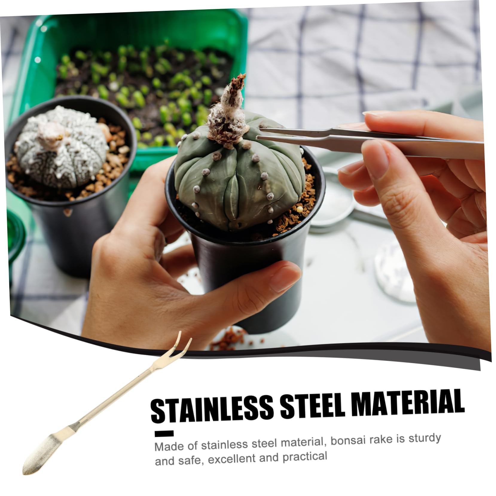 Abaodam 4 Piezas Rastrillo de Bonsai Inoxidable para Jardinería Herramienta Multifuncional para Plantas Macetas Diseño Ergonómico y Acabado para Entusiastas y Profesionales