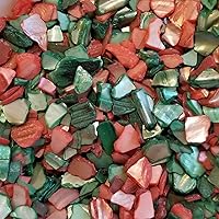 Vista 3 de BeachWalk Pequeñas conchas naturales trituradas, para bodas, relleno de jarrón, decoración del hogar y manualidades (32 onzas (2 libras), perla