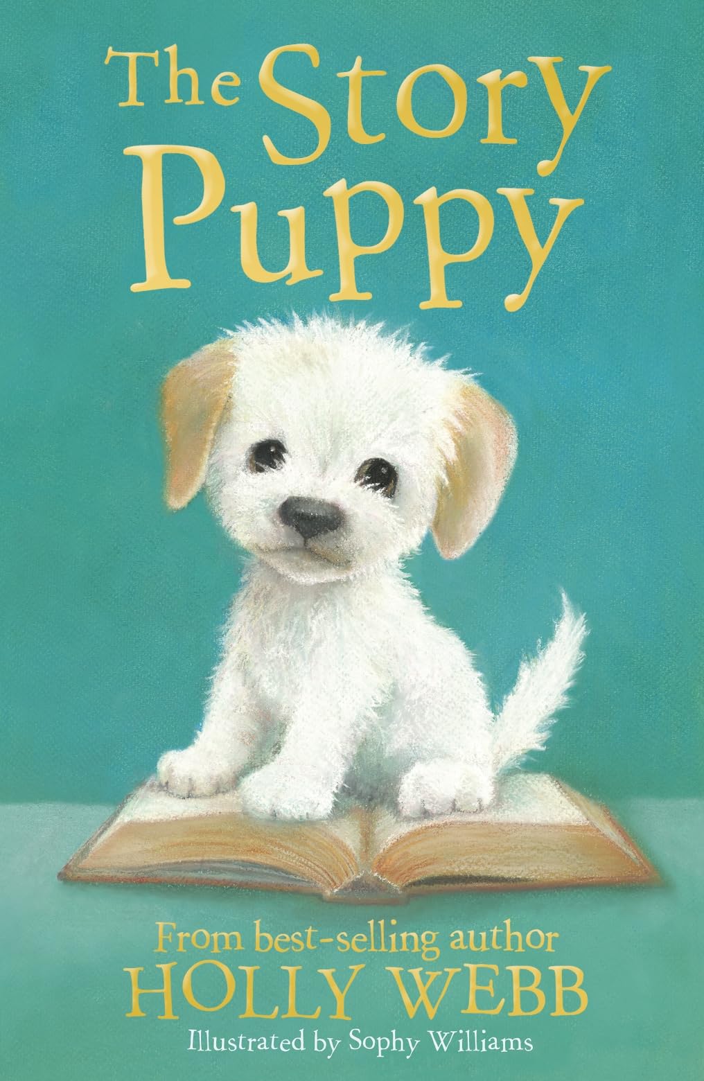 The Story Puppy: 45 (Holly Webb Animal Stories, 45)