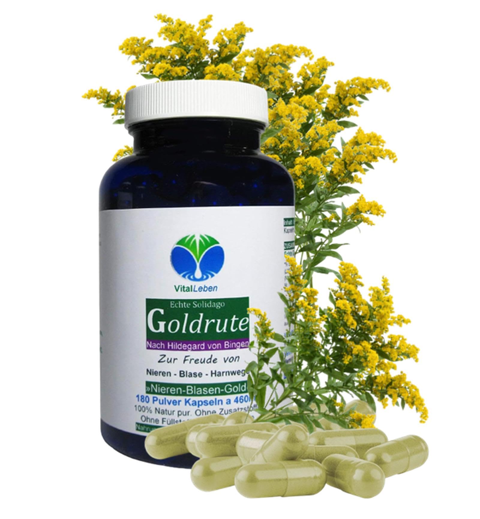 Echte GOLDRUTE Solidago Goldrutenkraut 180 Kapseln NIEREN - BLASE - HARNWEGE - NATUR pur [OHNE ZUSATZSTOFFE] 26935-180