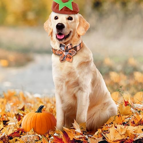 Miniatura 7 de Malier Collar de Navidad para perro con flor, clásico collar de perro a cuadros de búfalo con hebilla, collares de Navidad ajustables con corbatín