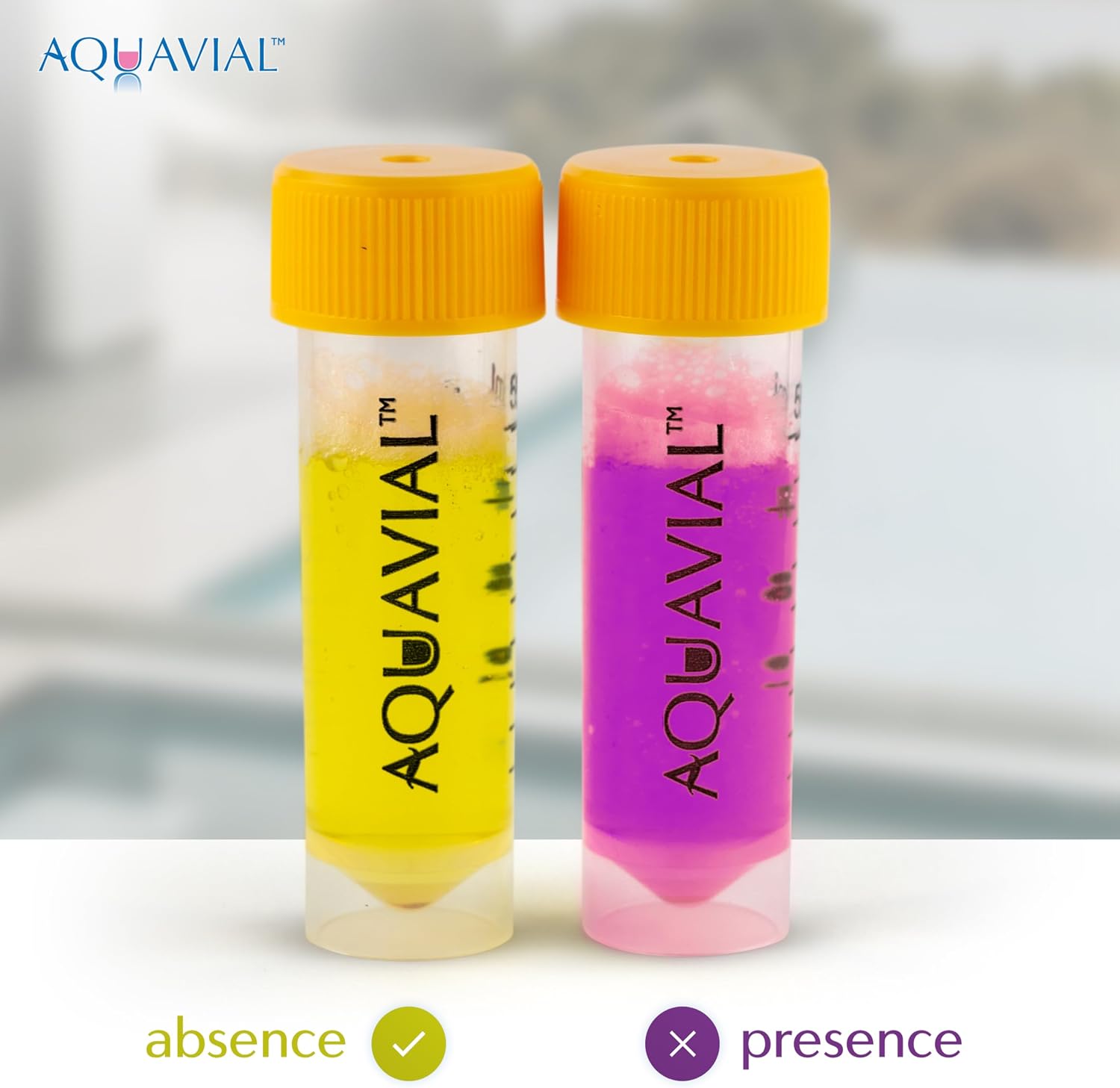 Water Testing Kit 2 Pack - E Coli and Coliform Test for Drinking, Pool, Pond, Lake, Well Quality - Bacteria Tester image 5