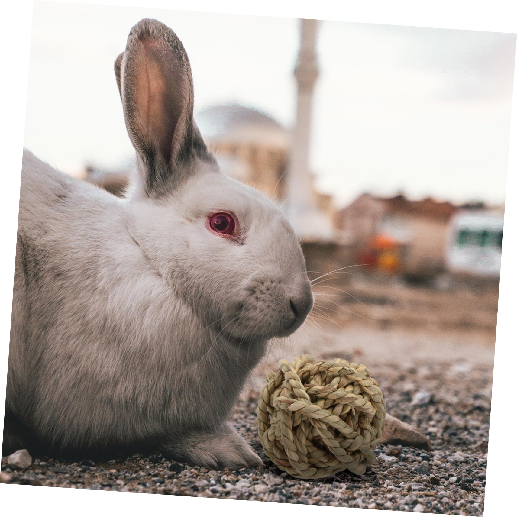 Amosfun 9stücke Handgefertigte Naturgras-kauspielzeuge Für Kleintiere Für Kaninchen Meerschweinchen Co Sicheres Kau Und Spielzeug Aus Natürlichen Materialien