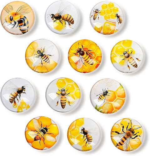 Imanes para refrigerador para adultos, 12 unidades, imanes decorativos de vidrio para refrigerador, lindos y coloridos y fuertes para refrigerador,