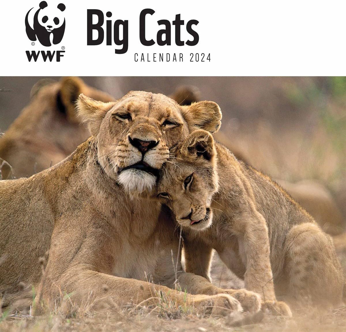 WWF, Big Cats (PFP) Wall Calendar 2024