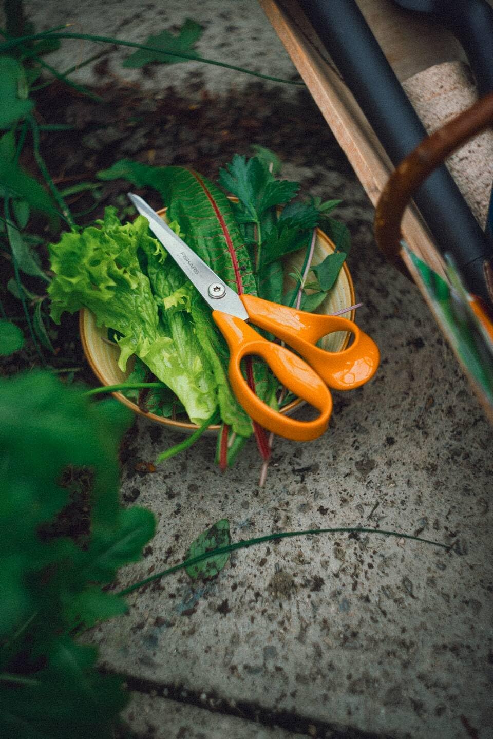 Fiskars Classic 1075033 Universal Right-Handed Secateurs, Total Length: 21 cm, Improved Torx Screw and Ergonomic Handle, Quality Steel/Plastic, Orange