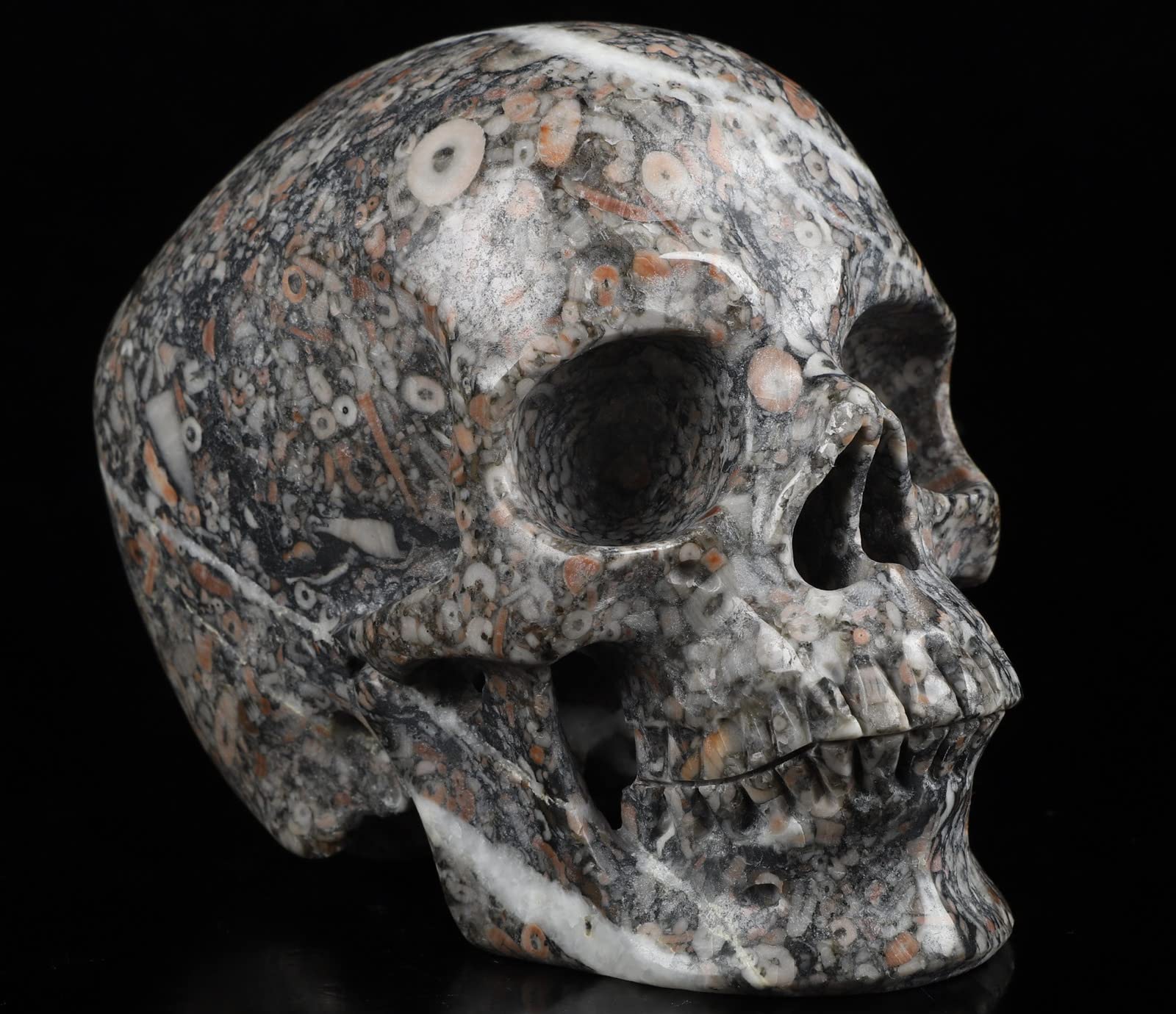 3個で！トリニティー スカル TRINITY SKULL 3個で！トリニティー