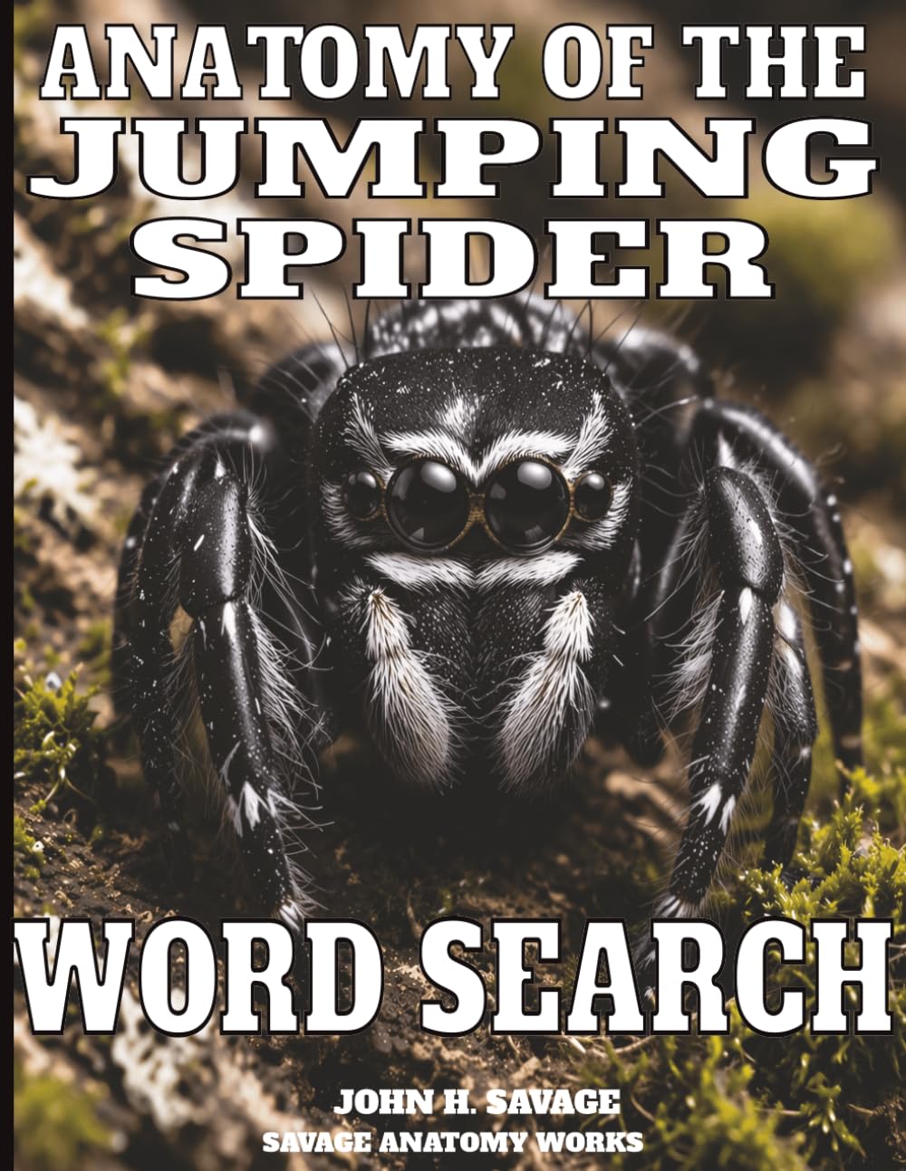 ANATOMY OF THE JUMPING SPIDER WORD SEARCH: FUNCTIONAL BIOLOGY AND PREDATORY MICROSTRUCTURES (Savage Anatomy)