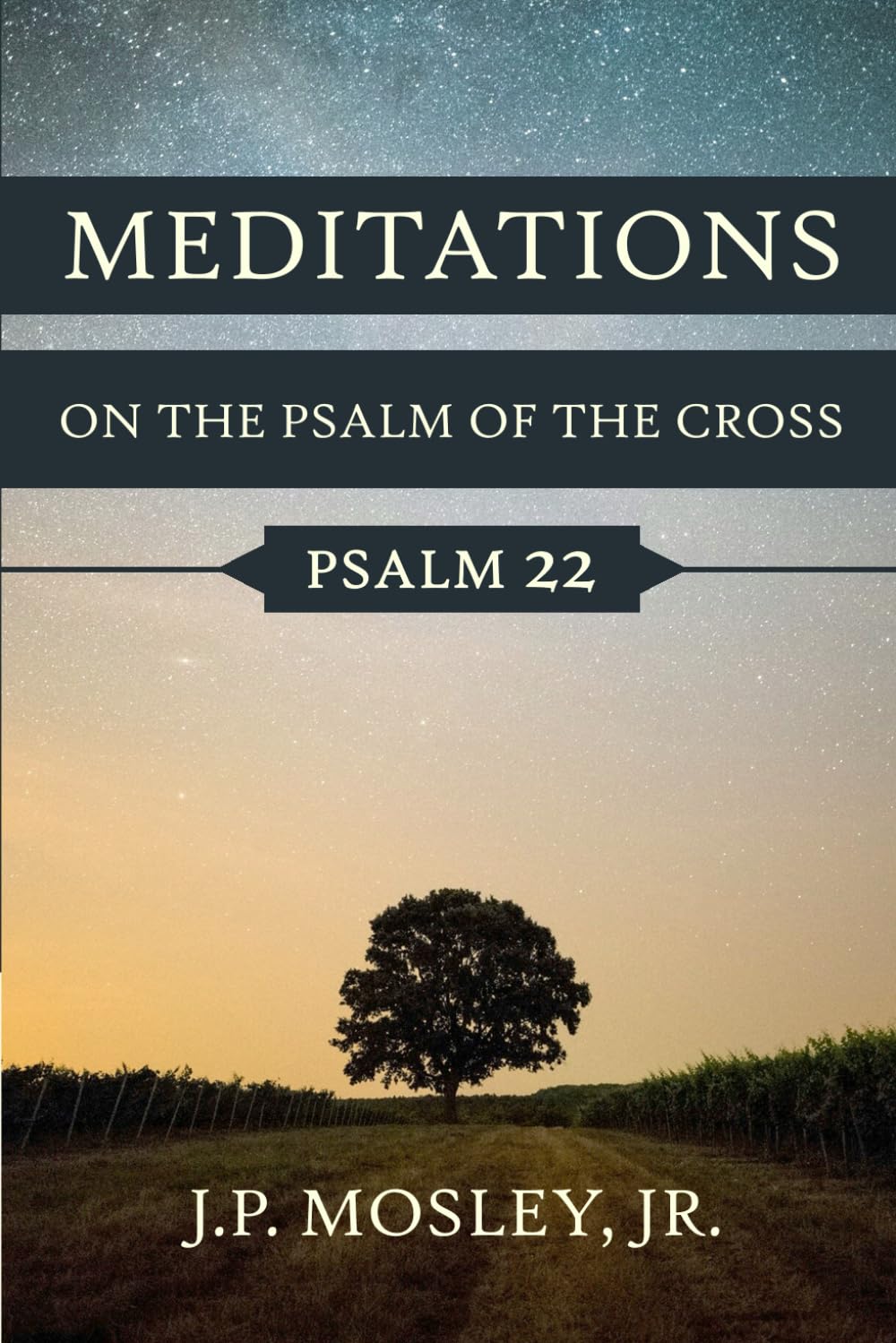 Meditations of the Psalm of the Cross: Psalm 22