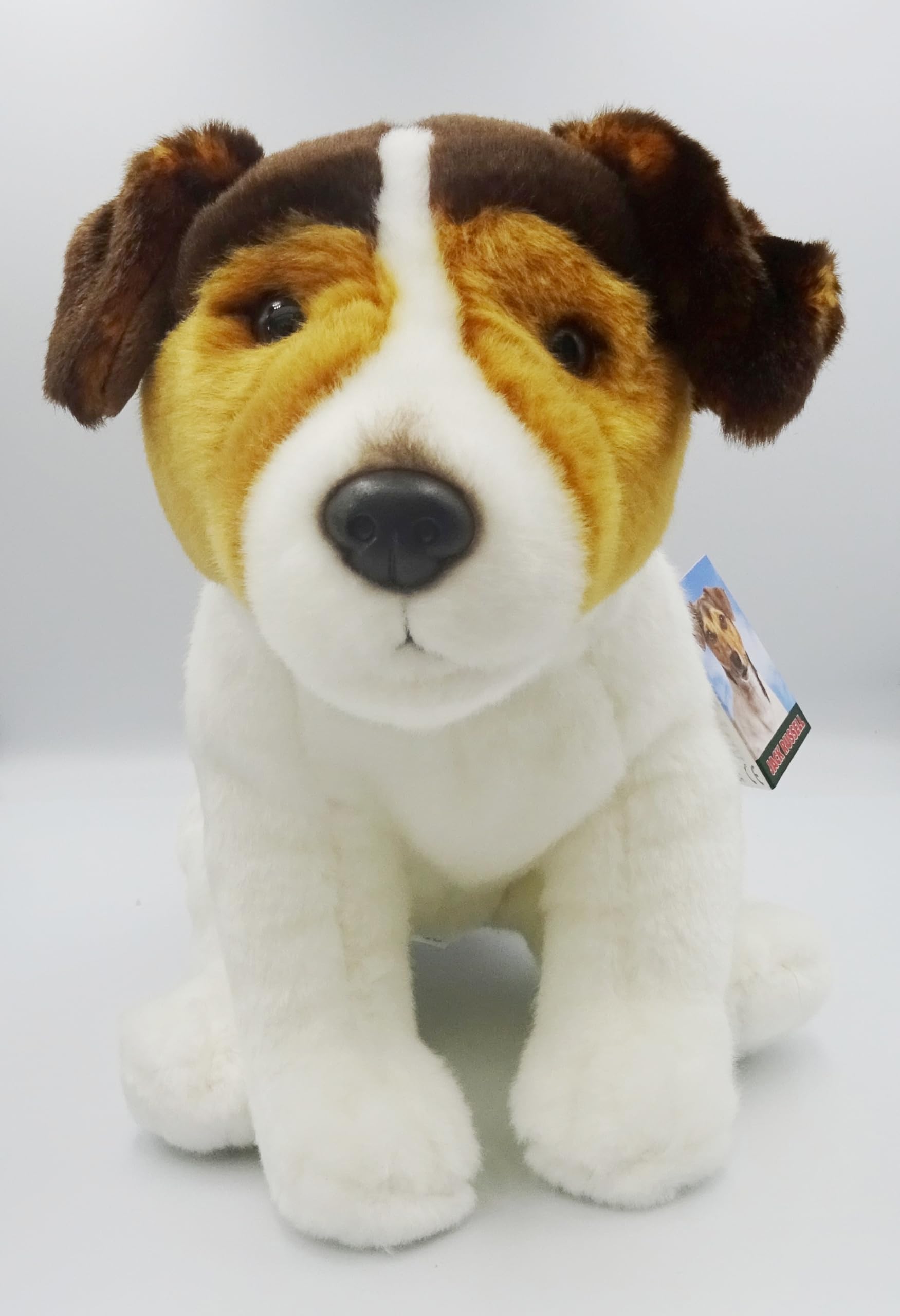 COACH ぬいぐるみ Signature Toy Jack Russell COACH ぬいぐるみ Signature Toy Jack Russell Coach Signature Rare