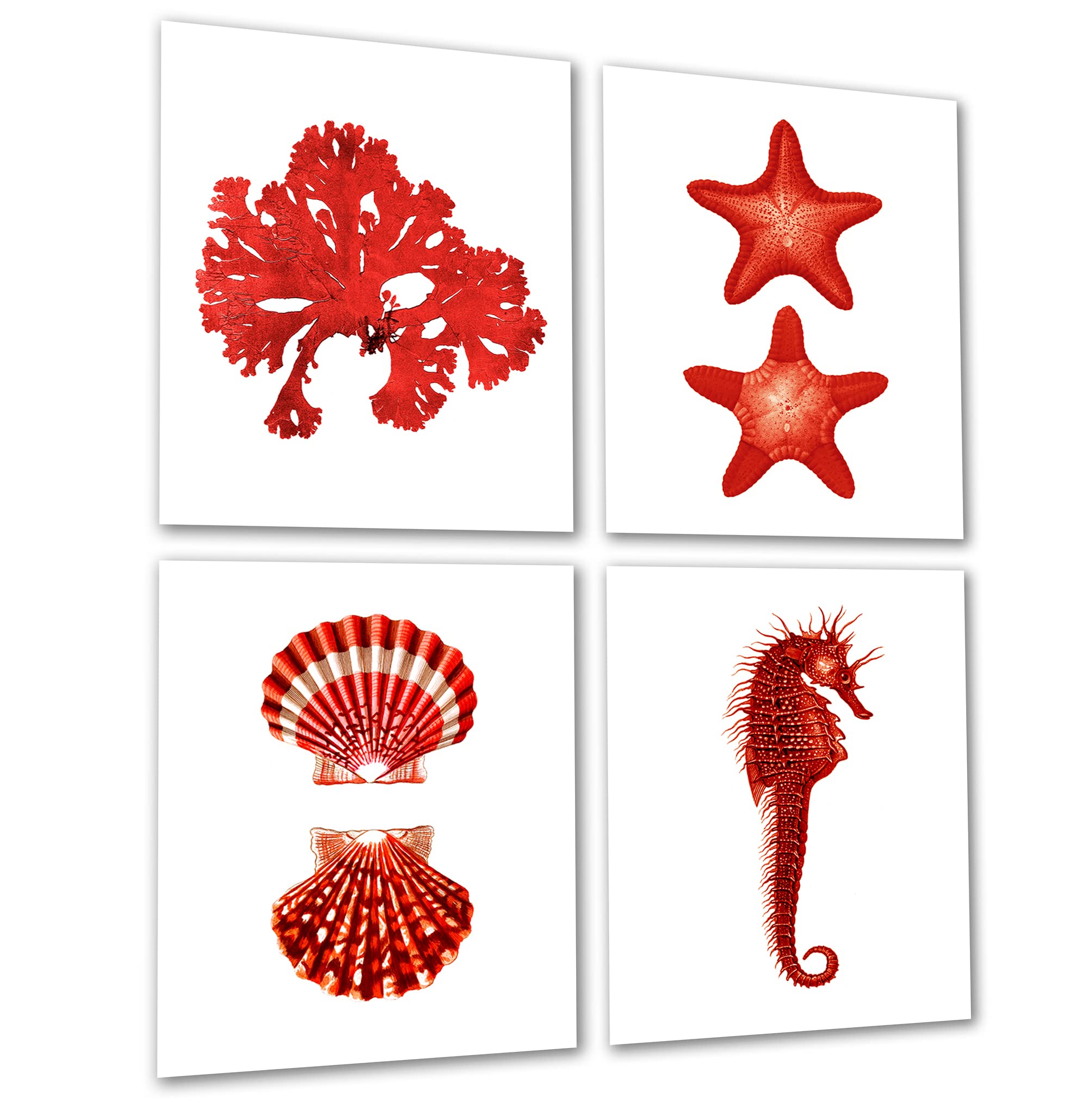 Coral Red Beach Wall Decor Set of 4 Unframed Seashells Seahorse Seaweed Starfish Prints