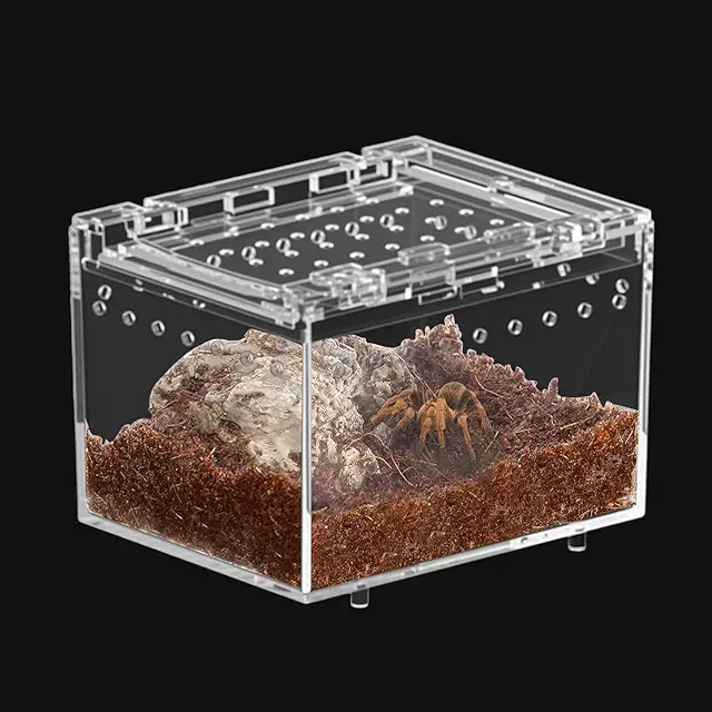 Terrario Pequeño para Reptiles: Caja de Alimentación de Insectos y Caracoles