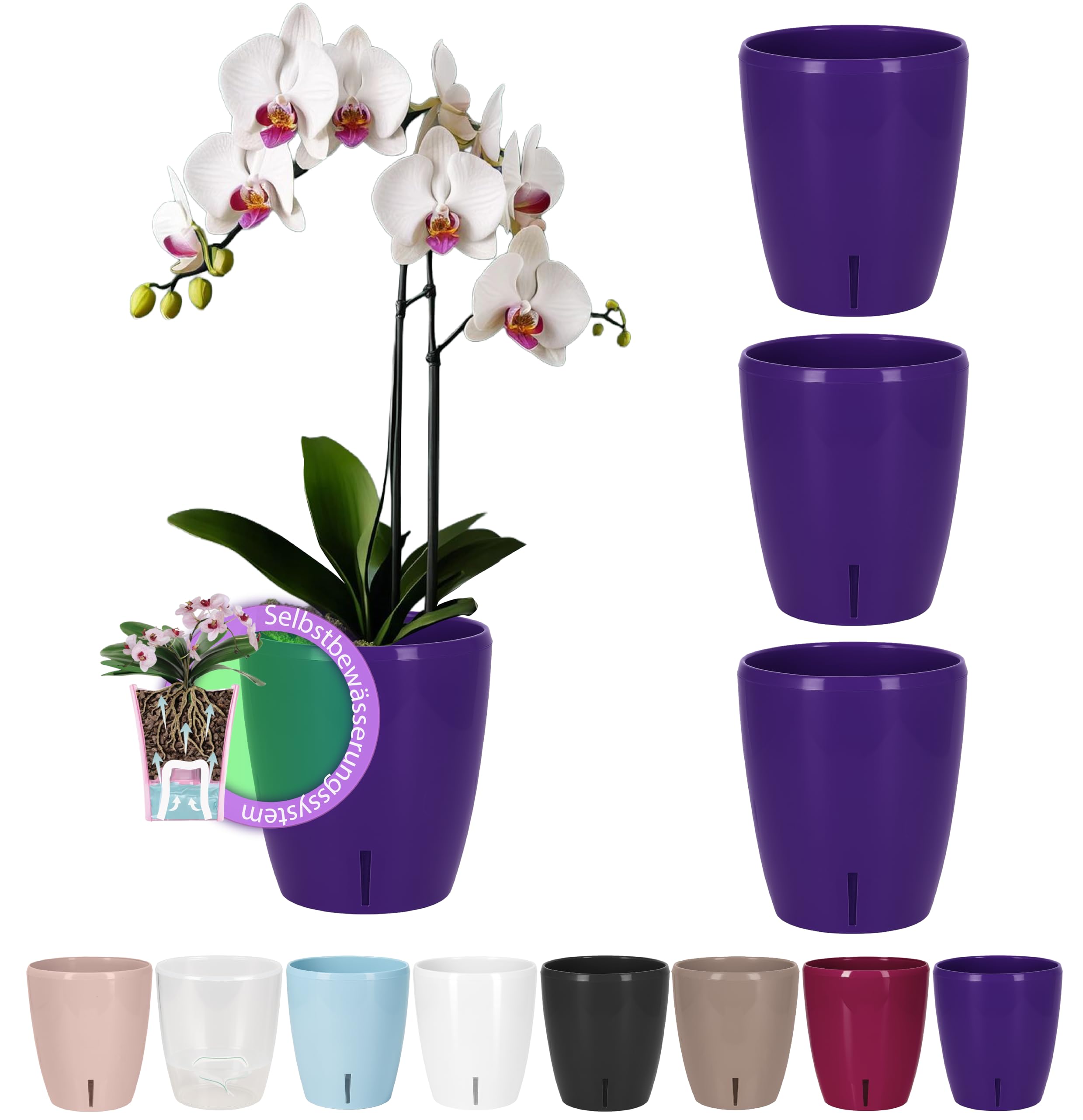 Santino Maceta para Orquídeas Ø 12cm Maceta Autorriego con Sistema de Mecha e Indicador de Nivel de Agua para Interior (Ø 12cm - 1,3L - Transparente) — view 10