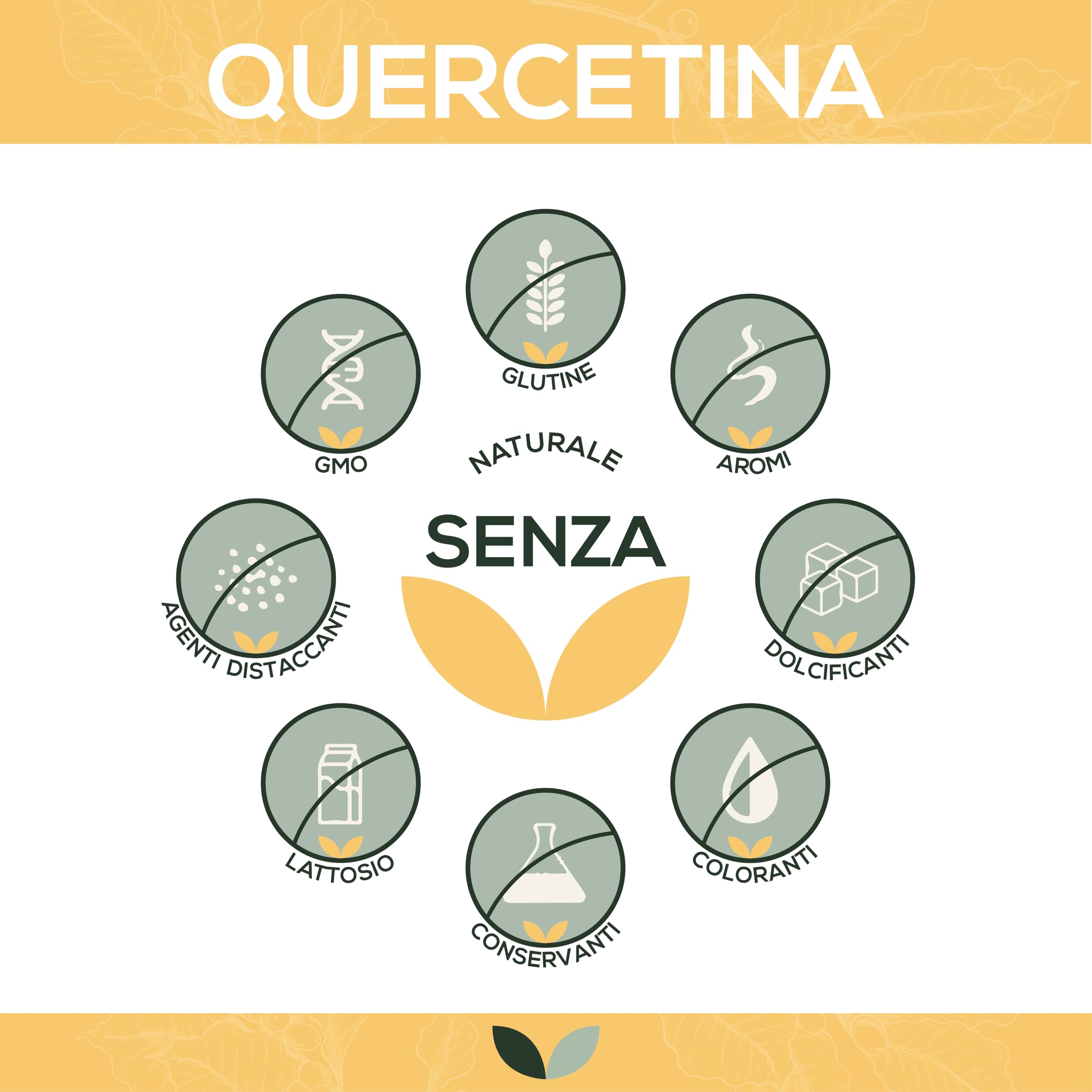 Quercetina 500 mg per capsula | 90 capsule | Altamente dosata | Da estratto di fiori di cordicella giapponese | Buona biodisponibilità e tollerabilità | Vegan