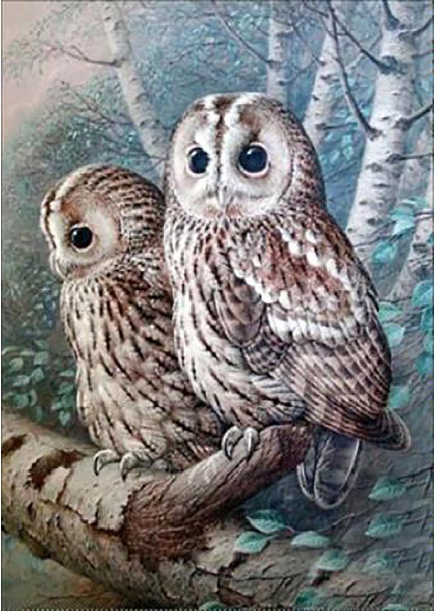 LAZODA DIY 5D Diamond Painting by Number Kits Full Drill Accessories Crystal Rhinestone Embroidery Pictures Arts Craft for Wallpaper Home Wall Decoration White Owl 11.8 x 15.7 Inch