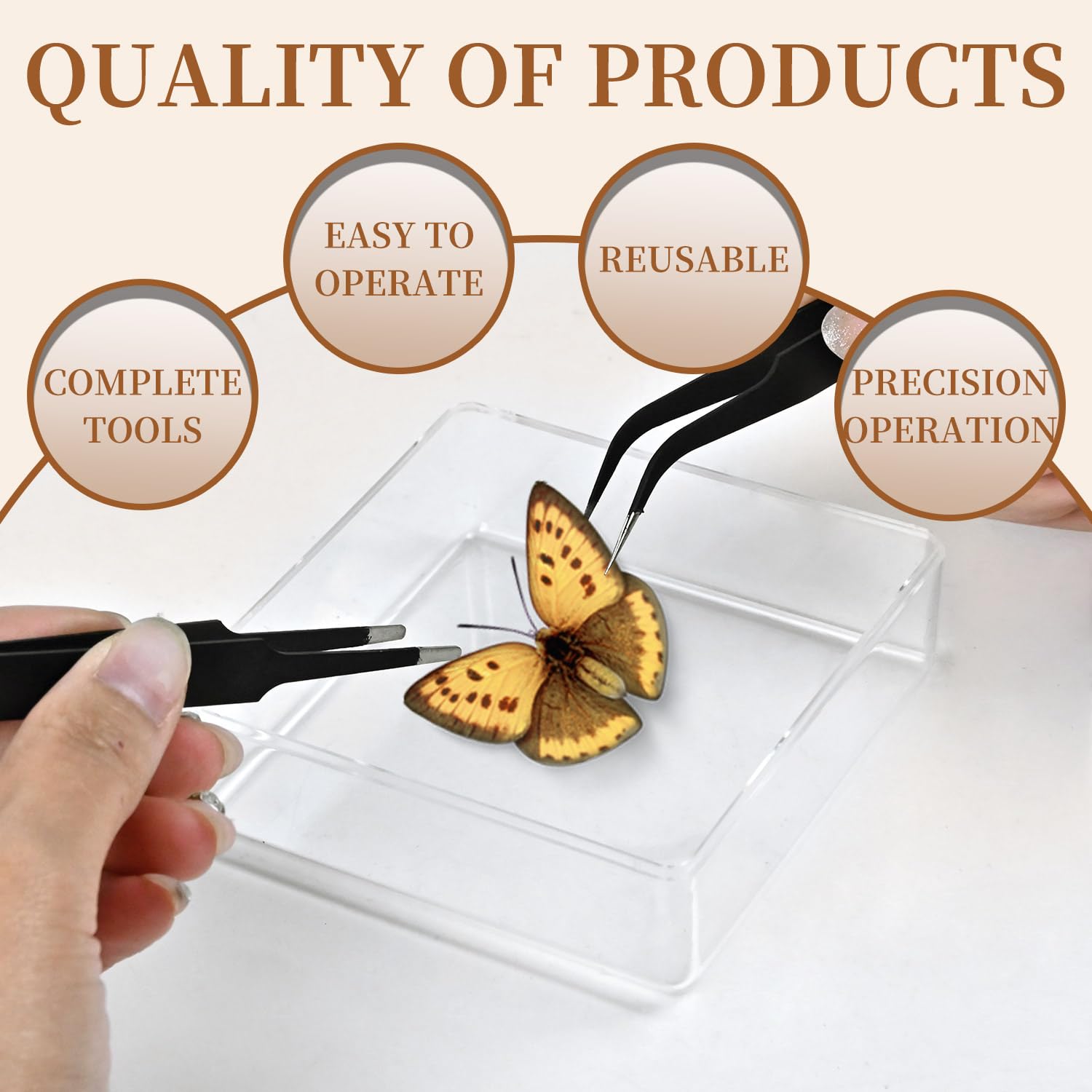 Foam Bottom Insect Collection Box Insect Pinning Box For Entomology 13 ...
