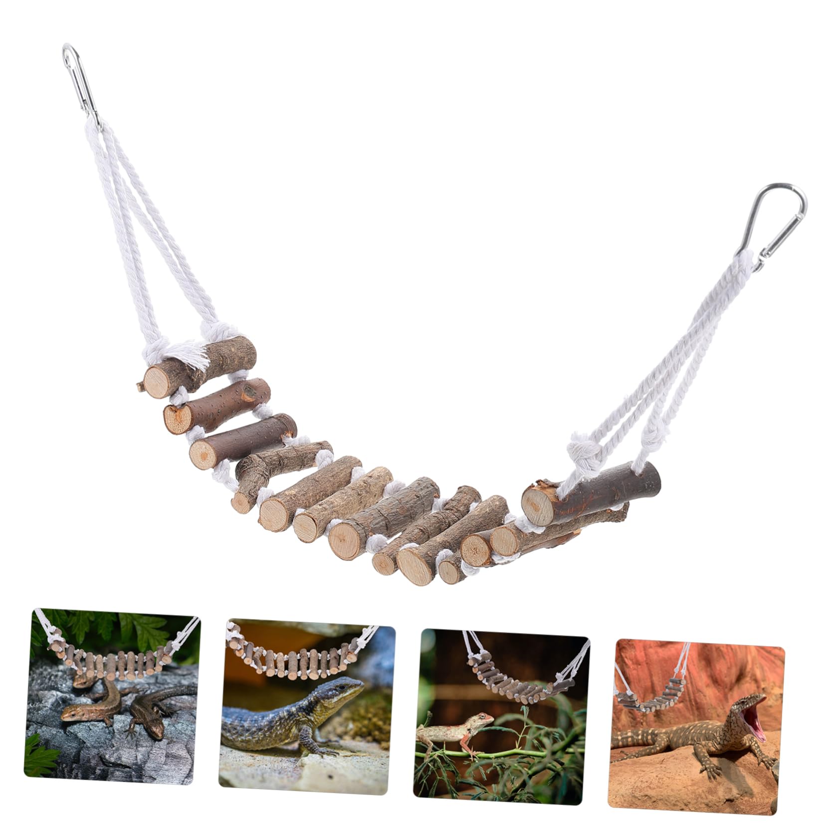 POPETPOP 2pezzi Decorativo Per Rettili Appesa Per Lucertole Accessorio Per Habitat Rettili Per Chameleonti e