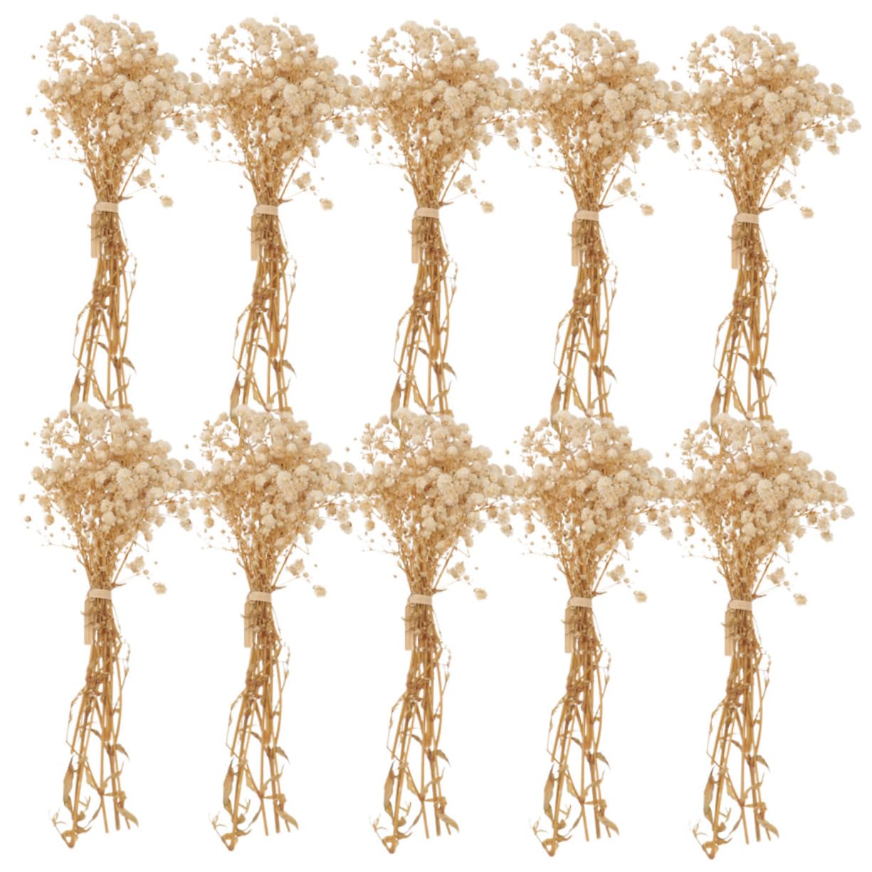 Gatuida 4 Pièces 10 Petit Bouquet de gypsophile tiges séchées Fleurs séchées pour l'artisanat bouda Decoration Interieure Fleur sechees décor d'haleine de bébé séchée gypsophile séchée