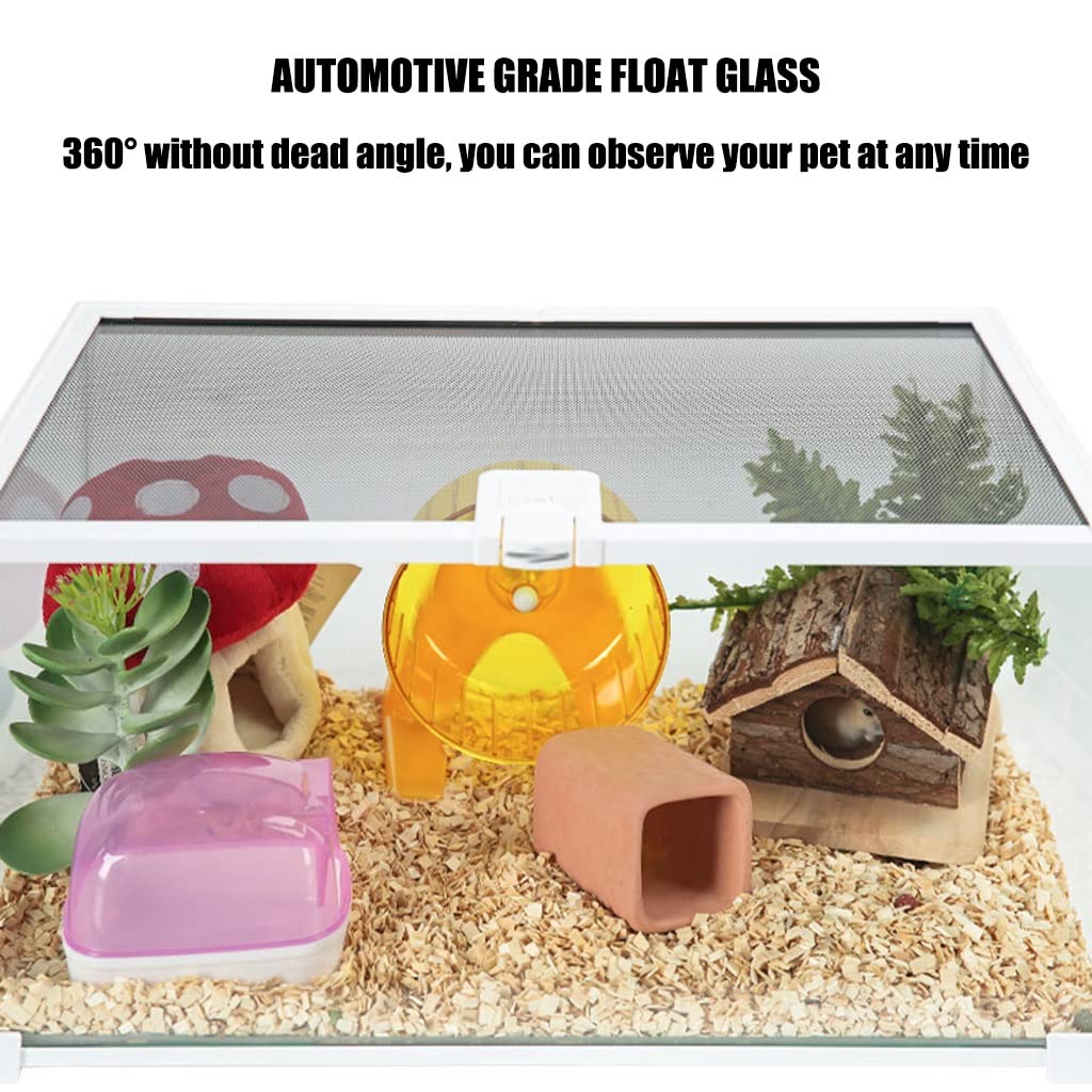 Tanque de Vidrio Templado para Reptiles, Apertura Superior, Terrario para Reptiles, Lagarto, Camaleón, Gecko, Incubadora de Mascotas con ventilación de Pantalla Superior (A 31x21x20cm)